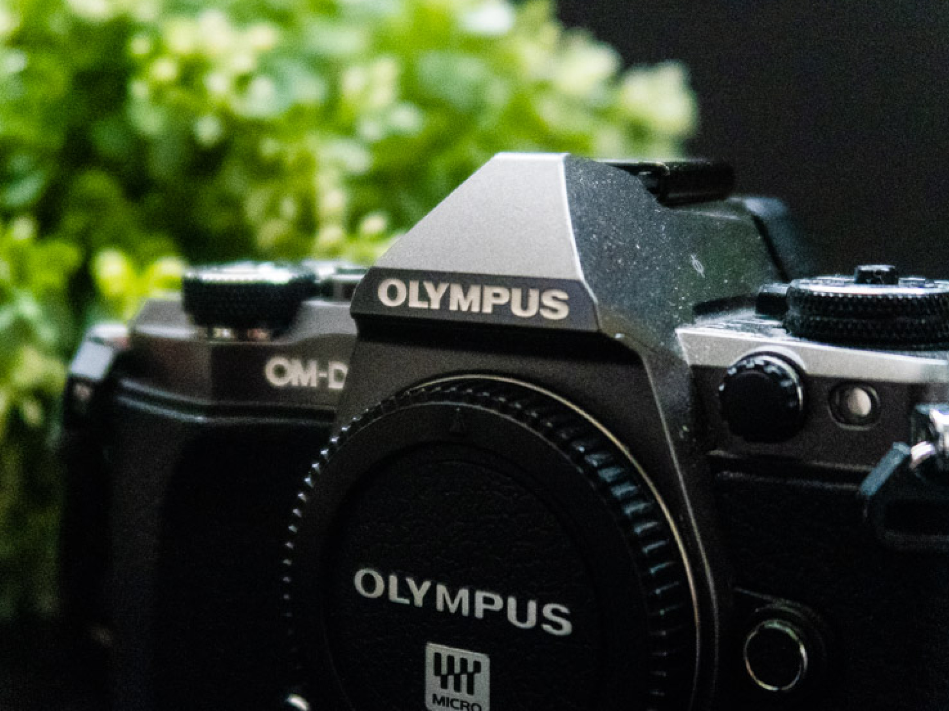 That Olympus OMD-EM5 ii review